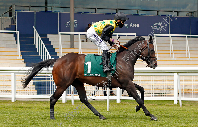 Aussie-Stormer-0001 
 AUSSIE STORMER (Pat Cosgrave)
Newbury 19 Jul 2020 - Pic Steven Cargill / Racingfotos.com