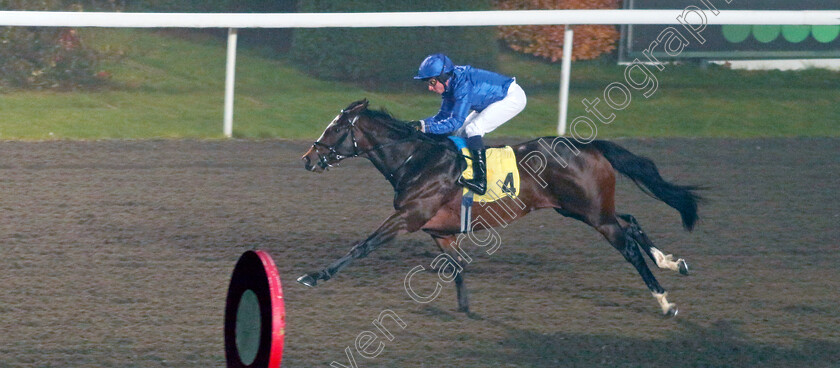 Honest-Desire-0004 
 HONEST DESIRE (William Buick) wins The Unibet More Extra Place Races Nursery
Kempton 6 Dec 2023 - Pic Steven Cargill / Racingfotos.com