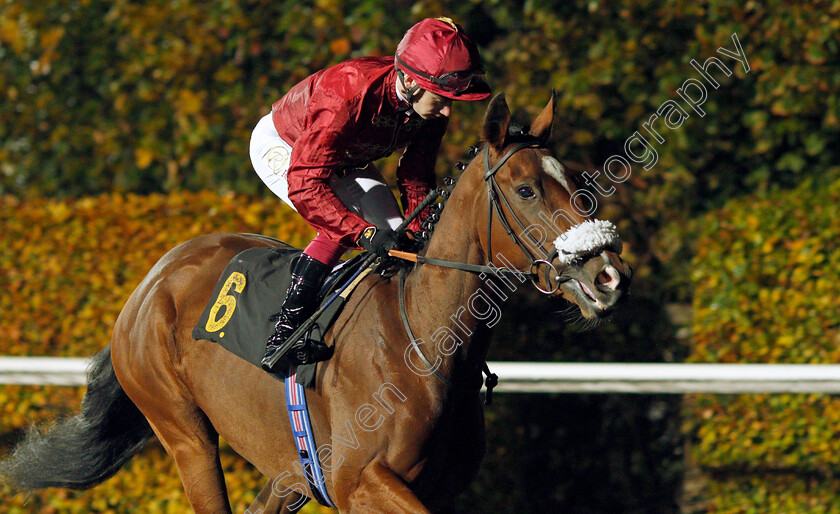 Lady-Clementine-0001 
 LADY CLEMENTINE (Oisin Murphy)
Kempton 10 Nov 2021 - Pic Steven Cargill / Racingfotos.com