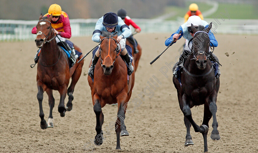 Sir-Edward-Elgar-0005 
 SIR EDWARD ELGAR (right, Robert Havlin) beats HOST (centre) in The Bombardier British Hopped Amber Beer Maiden Stakes
Lingfield 27 Jan 2021 - Pic Steven Cargill / Racingfotos.com