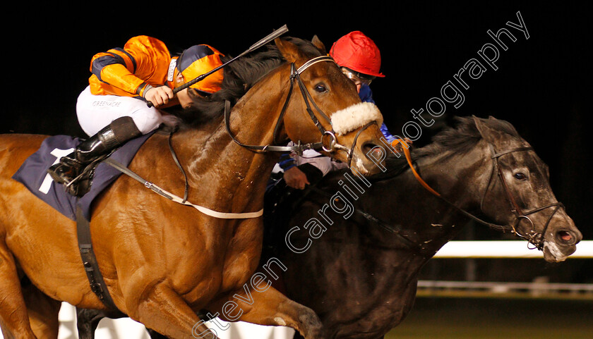 Mount-Tahan-0004 
 MOUNT TAHAN (nearside, Kevin Stott) beats MARATHA (right) in The Betway Casino Handicap Wolverhampton 15 Jan 2018 - Pic Steven Cargill / Racingfotos.com