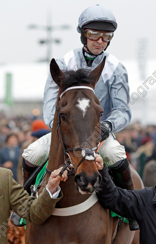 Santini-0002 
 SANTINI (Nico de Boinville) winner of The Paddy Power Cotswold Chase
Cheltenham 25 Jan 2020 - Pic Steven Cargill / Racingfotos.com