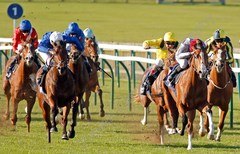 Key-Victory-0003 
 KEY VICTORY (left, William Buick) beats QAYSAR (right) in The 32Red.com Novice Stakes Newmarket 25 Oct 2017 - Pic Steven Cargill / Racingfotos.com