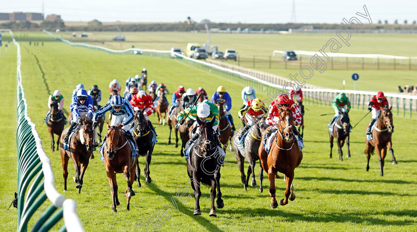 The-Shunter-0003 
 THE SHUNTER (James Doyle) beats PIED PIPER (right) and TASHKHAN (left) in The Club Godolphin Cesarewitch Handicap
Newmarket 14 Oct 2023 - Pic Steven Cargill / Racingfotos.com