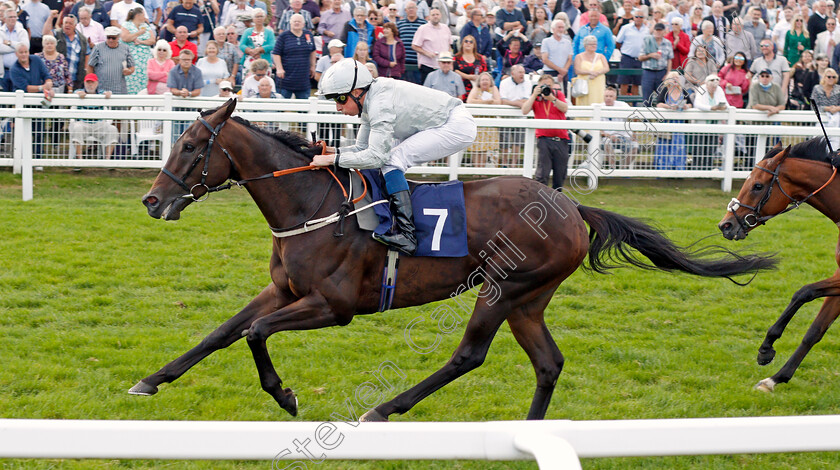 Forest-Falcon-0004 
 FOREST FALCON (William Buick) wins The Sky Sports Racing Sky 415 Handicap
Yarmouth 16 Sep 2021 - Pic Steven Cargill / Racingfotos.com