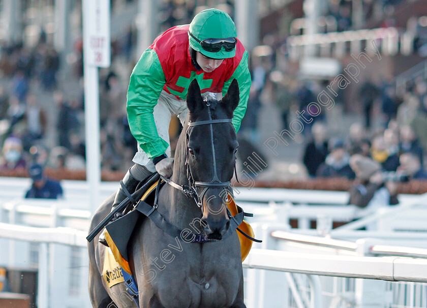 Quarenta-0001 
 QUARENTA (Sean Bowen)
Cheltenham 10 Dec 2021 - Pic Steven Cargill / Racingfotos.com