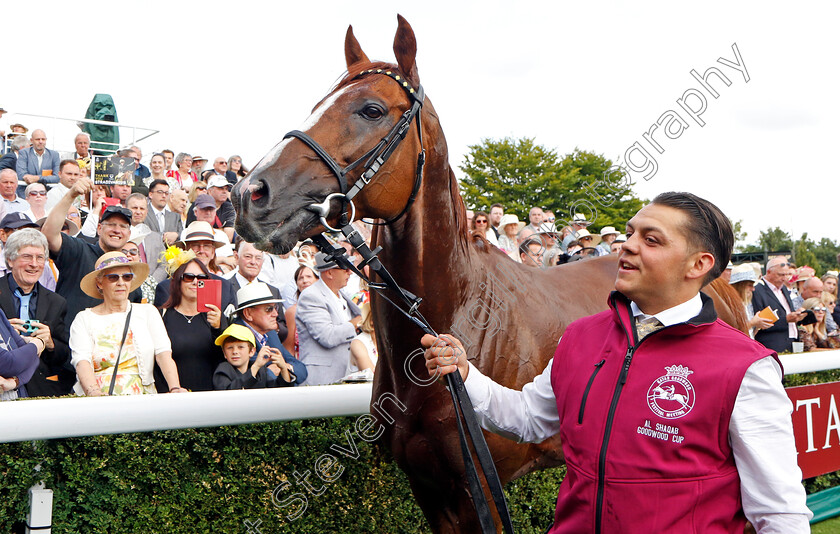 Stradivarius-0004 
 STRADIVARIUS after finishing second in The Al Shaqab Goodwood Cup
Goodwood 26 Jul 2022 - Pic Steven Cargill / Racingfotos.com