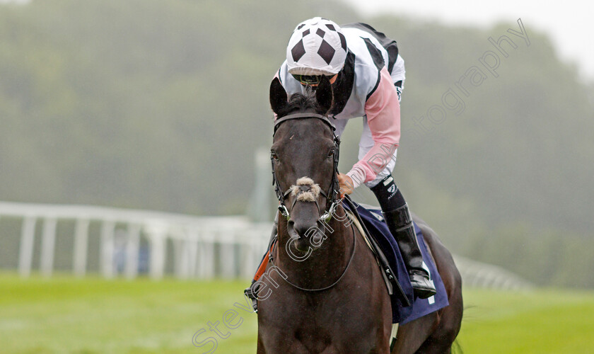 Beauty-Choice-0002 
 BEAUTY CHOICE (Kieran Shoemark) before winning The Follow diamondracing.co.uk Novice Stakes
Chepstow 9 Jul 2020 - Pic Steven Cargill / Racingfotos.com