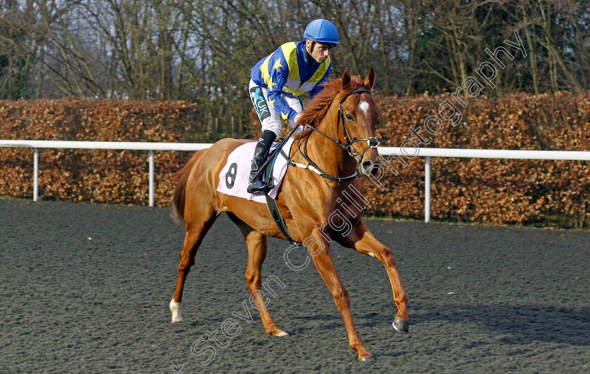 Lord-Vader 
 LORD VADER (Stevie Donohoe)
Kempton 16 Feb 2022 - Pic Steven Cargill / Racingfotos.com