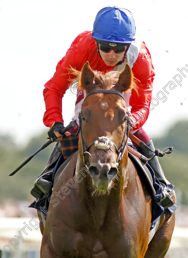 Threat-0006 
 THREAT (Oisin Murphy) wins The Al Basti Equiworld Dubai Gimcrack Stakes 
York 23 Aug 2019 - Pic Steven Cargill / Racingfotos.com