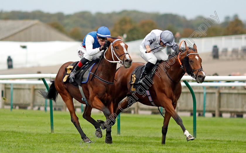 First-Officer-0003 
 FIRST OFFICER (left, David Egan) beats THE CITY'S PHANTOM (right) in The Newmarket Challenge Whip
Newmarket 28 Sep 2023 - Pic Steven Cargill / Racingfotos.com