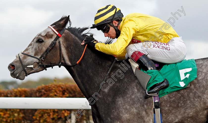 Perfect-Inch-0007 
 PERFECT INCH (Oisin Murphy) wins The Unibet Breeders Backing Racing EBF Fillies Novice Stakes
Kempton 2 Nov 2020 - Pic Steven Cargill / Racingfotos.com