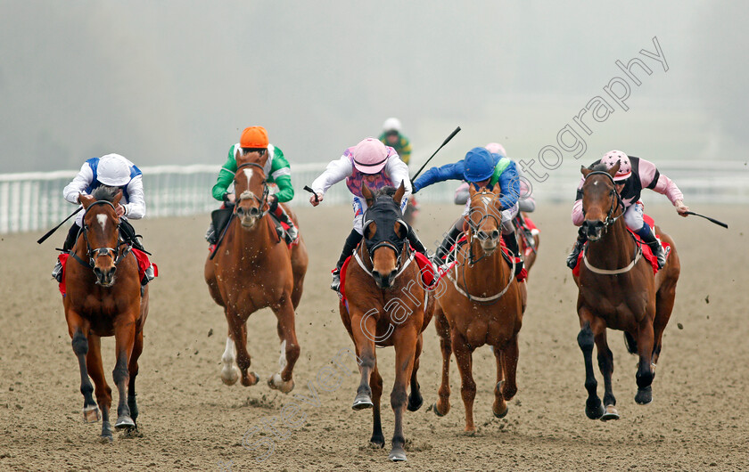 Constantino-0002 
 CONSTANTINO (centre, Paul Hanagan) beats HUMBERT (left) and SEA FOX (right) in The Play For Free At sunbets.co.uk/vegas Handicap Lingfield 3 Mar 2018 - Pic Steven Cargill / Racingfotos.com