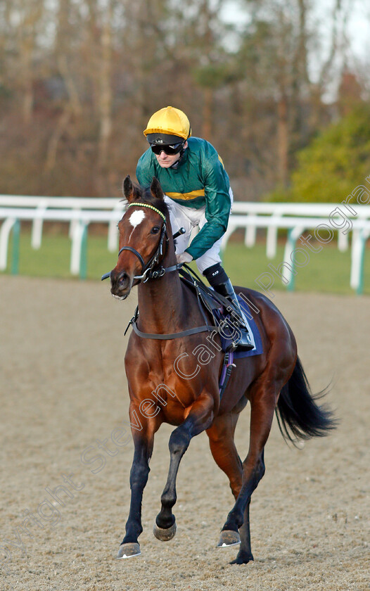 Agreed-0001 
 AGREED (Robert Havlin)
Lingfield 9 Dec 2019 - Pic Steven Cargill / Racingfotos.com