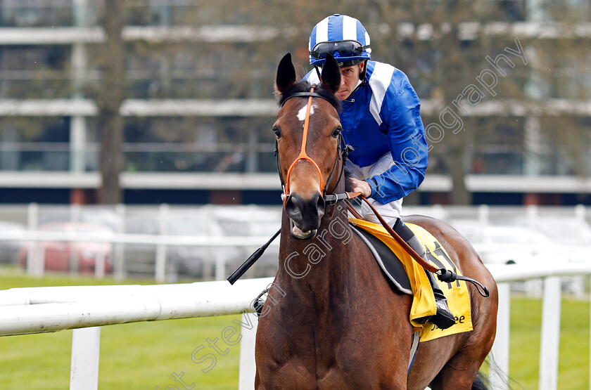 Tajaanus-0001 
 TAJAANUS (Jim Crowley) Newbury 21 Apr 2018 - Pic Steven Cargill / Racingfotos.com