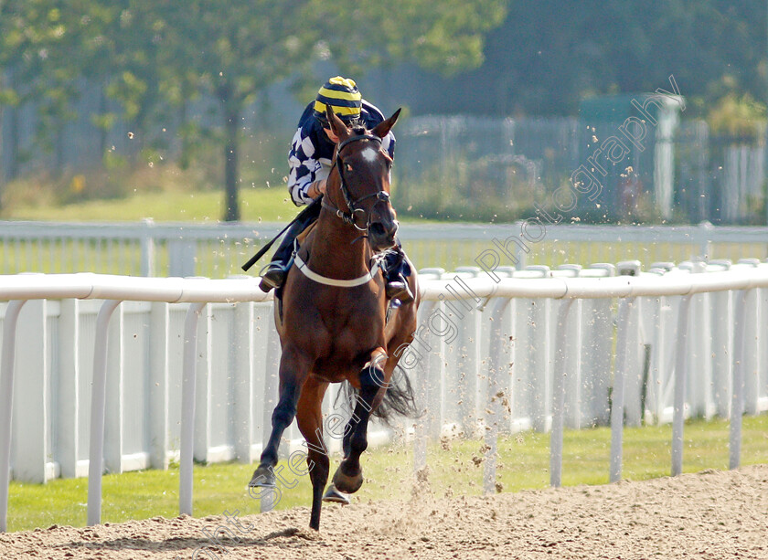 Come-On-Bear-0001 
 COME ON BEAR (Jack Mitchell) wins The Download The At The Races App Classified Stakes Div1
Wolverhampton 11 Aug 2020 - Pic Steven Cargill / Racingfotos.com