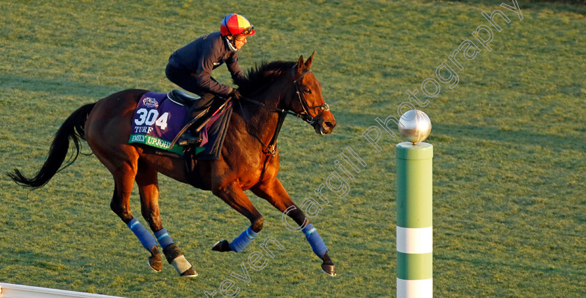 Emily-Upjohn-0003 
 EMILY UPJOHN (Frankie Dettori) training for the Breeders' Cup Turf
Del Mar USA 30 Oct 2024 - Pic Steven Cargill / Racingfotos.com