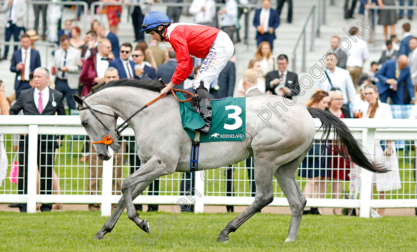 Dark-Lady-0001 
 DARK LADY (Ryan Moore)
Ascot 27 Jul 2019 - Pic Steven Cargill / Racingfotos.com