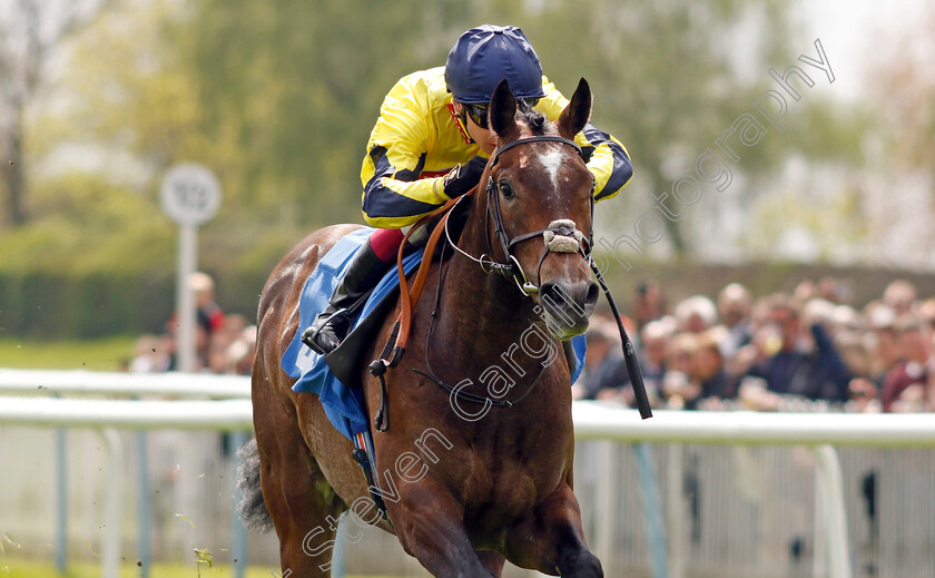 Spanish-Phoenix-0002 
 SPANISH PHOENIX (Oisin Murphy) wins The Atlantic Pale Ale Maiden Stakes
Leicester 29 Apr 2023 - Pic Steven Cargill / Racingfotos.com