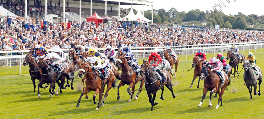 Dakota-Gold-0001 
 DAKOTA GOLD (Connor Beasley) wins The Sky Bet And Symphony Group Handicap
York 21 Aug 2019 - Pic Steven Cargill / Racingfotos.com