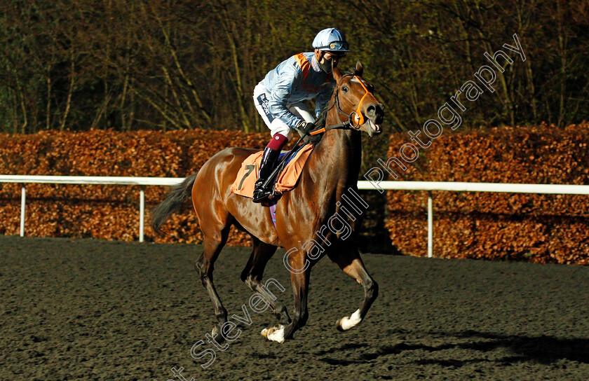 Victorious-Night-0001 
 VICTORIOUS NIGHT (Thore Hammer Hansen)
Kempton 3 Mar 2021 - Pic Steven Cargill / Racingfotos.com