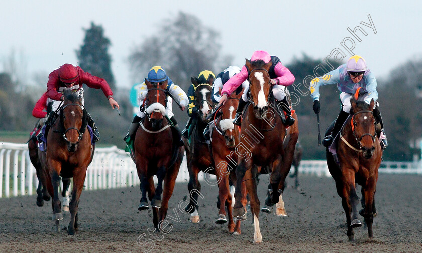 Dono-Di-Dio-0001 
 DONO DI DIO (right, Scott McCullagh) beats LAWN RANGER (centre) in The 32Red Handicap
Kempton 3 Apr 2019 - Pic Steven Cargill / Racingfotos.com