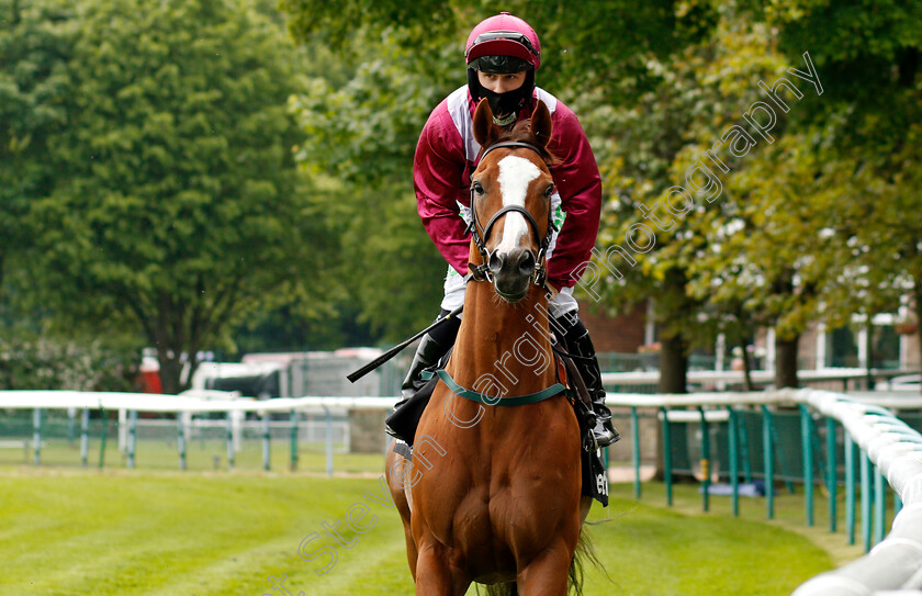 El-Astronaute-0001 
 EL ASTRONAUTE (Jason Hart)
Haydock 29 May 2021 - Pic Steven Cargill / Racingfotos.com