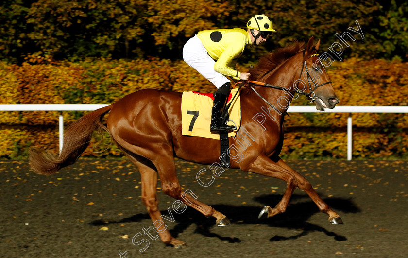 Matsuri-0005 
 MATSURI (Jack Mitchell) winner of The Unibet Zero% Mission British Stallion Studs EBF Fillies Novice Stakes Div2
Kempton 15 Nov 2023 - Pic Steven Cargill / Racingfotos.com