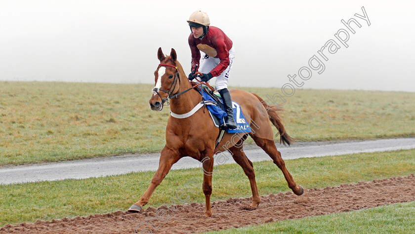 Whatswrongwithyou-0001 
 WHATSWRONGWITHYOU (Jeremiah McGrath)
Chepstow 27 Dec 2019 - Pic Steven Cargill / Racingfotos.com