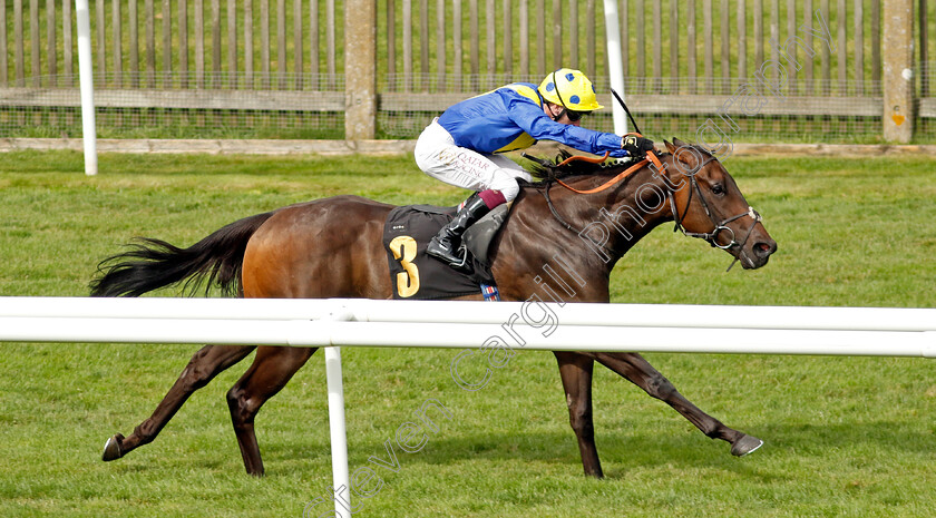 Mount-Teide-0002 
 MOUNT TEIDE (Oisin Murphy) wins The Jenningsbet Treble Odds Lucky 15 Handicap
Newmarket 10 Aug 2024 - Pic Steven Cargill / Racingfotos.com