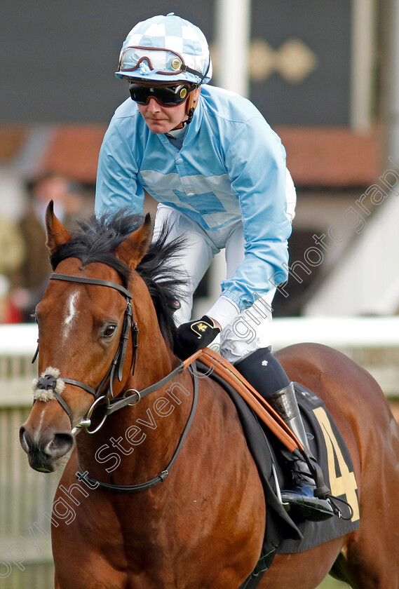 Crafty-Spirit-0001 
 CRAFTY SPIRIT (John Fahy)
Newmarket 25 Oct 2023 - Pic Steven Cargill / Racingfotos.com