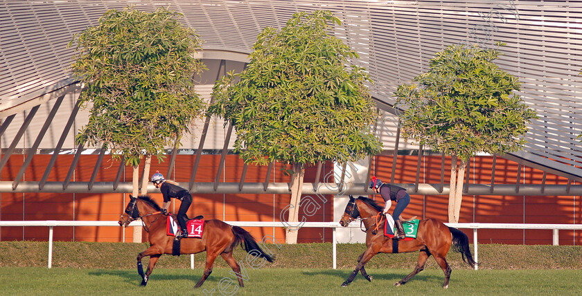 Sheikhzayedroad-and-Desert-Encounter-0001 
 SHEIKHZAYEDROAD (left) leads DESERT ENCOUNTER (right) in preparation for The Dubai Gold Cup and Sheema Classic respectively, Meydan 28 Mar 2018 - Pic Steven Cargill / Racingfotos.com