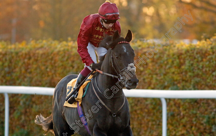 Morning-Suit-0001 
 MORNING SUIT (Oisin Murphy)
Kempton 15 Nov 2023 - Pic Steven Cargill / Racingfotos.com