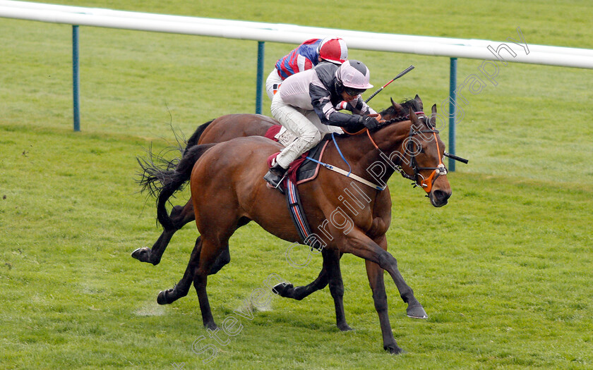 Lord-Of-The-Rock-0003 
 LORD OF THE ROCK (Graham Lee) wins The Betway Stubshaw Cross Handicap
Haydock 27 Apr 2019 - Pic Steven Cargill / Racingfotos.com