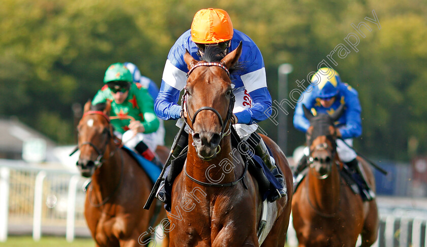 Rigoletto-0006 
 RIGOLETTO (Jamie Spencer) wins The Reecer Poertable Buildings Handicap Chepstow 6 Sep 2017 - Pic Steven Cargill / Racingfotos.com