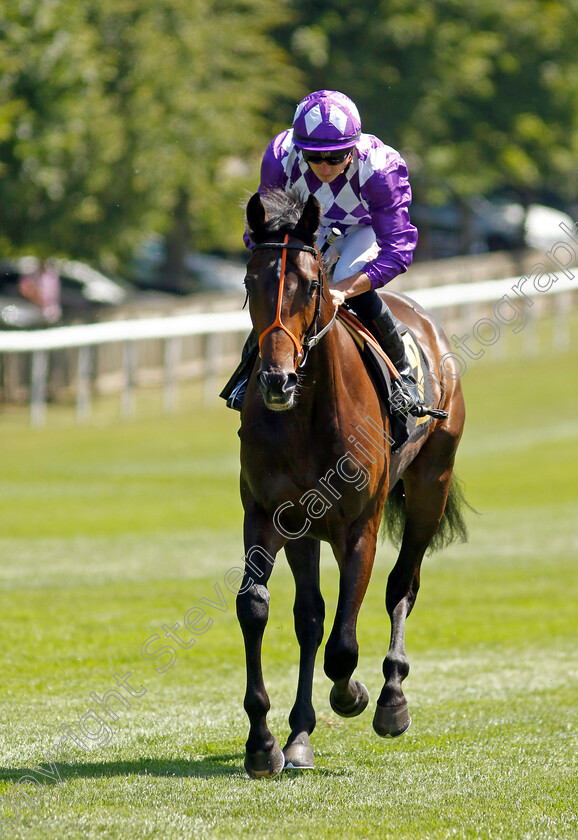 Bridge 
 BRIDGE (Tom Marquand)
Newmarket 8 Jul 2022 - Pic Steven Cargill / Racingfotos.com