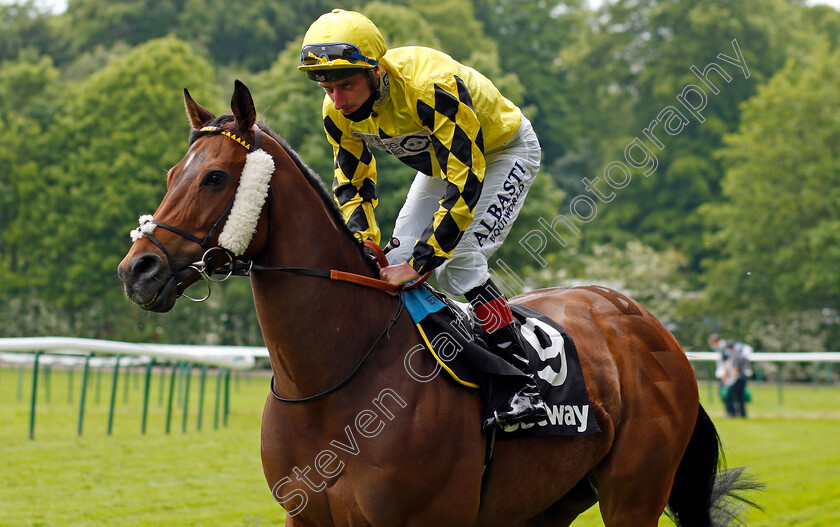 Ornate-0001 
 ORNATE (Adam Kirby)
Haydock 29 May 2021 - Pic Steven Cargill / Racingfotos.com