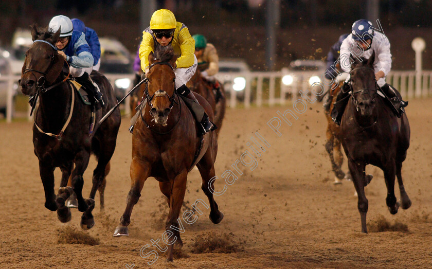 American-Entente-0004 
 AMERICAN ENTENTE (centre, Robert Havlin) beats MESSALINA (left) in The EBF Fillies Novice Stakes
Chelmsford 22 Oct 2020 - Pic Steven Cargill / Racingfotos.com