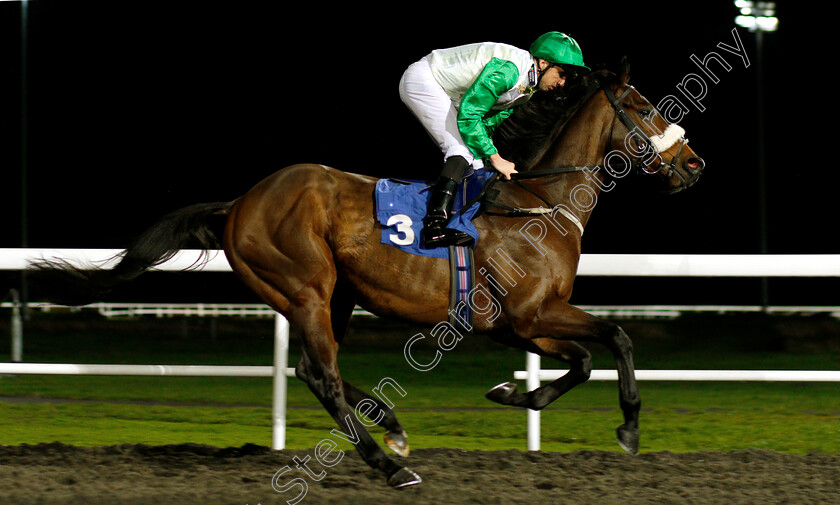 Primero-0001 
 PRIMERO (Martin Harley)
Kempton 5 Dec 2018 - Pic Steven Cargill / Racingfotos.com