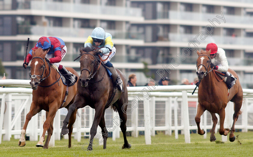 Qamka-0003 
 QAMKA (centre, David Egan) beats BEAUTY OF DEIRA (left) in The Crossland British EBF Fillies Novice Stakes
Newbury 13 Jun 2019 - Pic Steven Cargill / Racingfotos.com