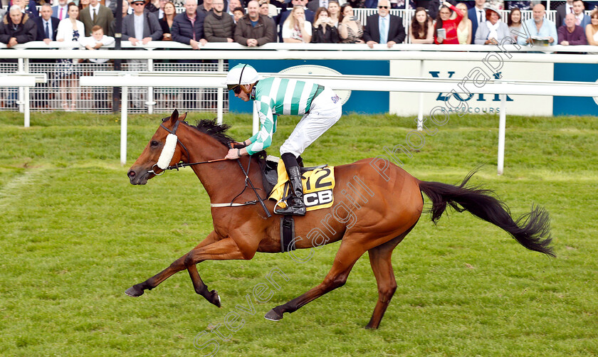 Firmament-0005 
 FIRMAMENT (James Doyle) wins The JCB Handicap
York 15 Jun 2019 - Pic Steven Cargill / Racingfotos.com