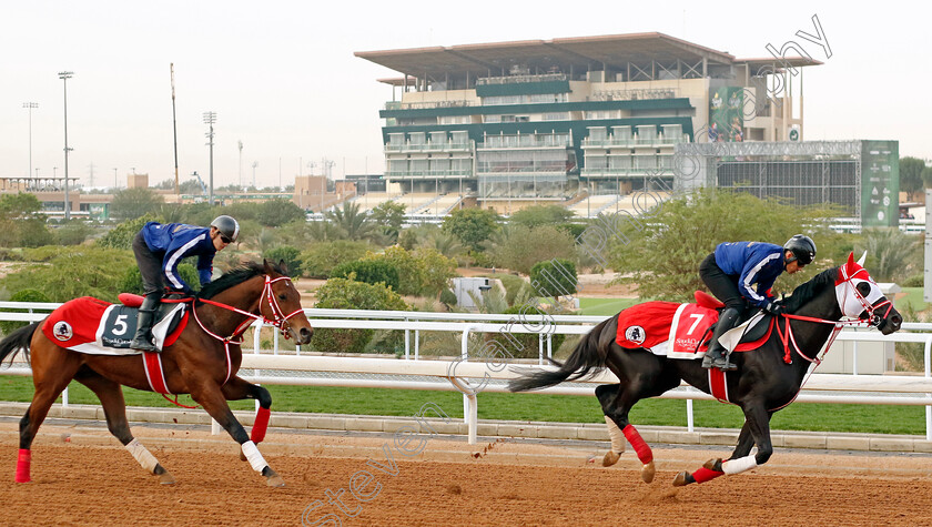 Libyan-Glass-and-Forever-Young-0001 
 LIBYAN GLASS leads FOREVER YOUNG training at the Saudi Cup
King Abdulaziz Racetrack, Saudi Arabia 22 Feb 2024 - Pic Steven Cargill / Racingfotos.com