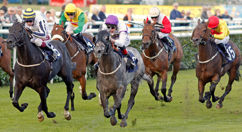 Dark-Shadow-0001 
 DARK SHADOW (centre, Adam Kirby) beats LINE OF REASON (left) in The Parkes Bros Roofing Contractors Handicap
Doncaster 11 Sep 2019 - Pic Steven Cargill / Racingfotos.com