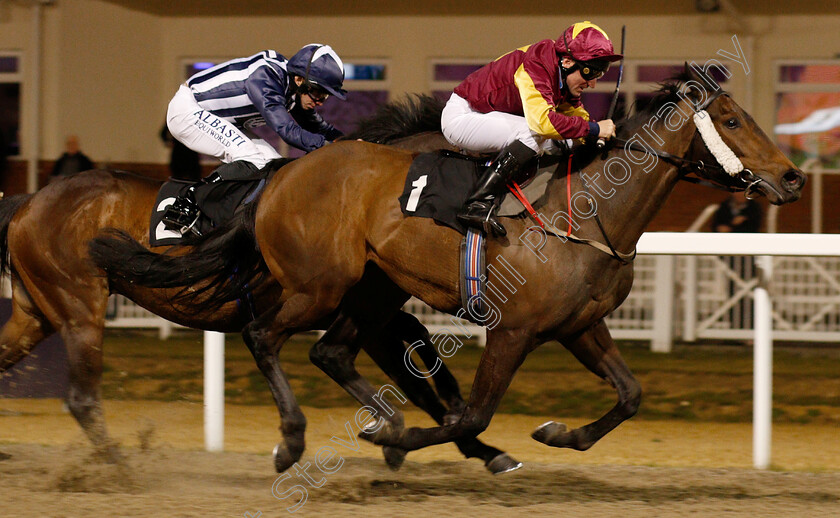 Executive-Force-0003 
 EXECUTIVE FORCE (John Egan) wins The Bet totequadpot At totesport.com Handicap
Chelmsford 21 Feb 2019 - Pic Steven Cargill / Racingfotos.com