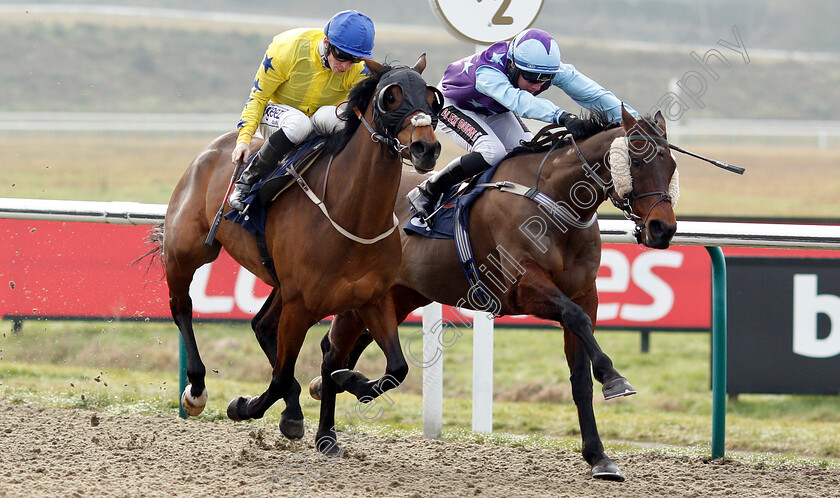 Collate-0003 
 COLLATE (left, David Probert) beats DIAMOND REFLECTION (right) in The Sun Racing Handicap
Lingfield 25 Jan 2019 - Pic Steven Cargill / Racingfotos.com