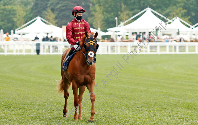 Nakatomi-0001 
 NAKATOMI (Oisin Murphy)
Ascot 17 Jun 2021 - Pic Steven Cargill / Racingfotos.com