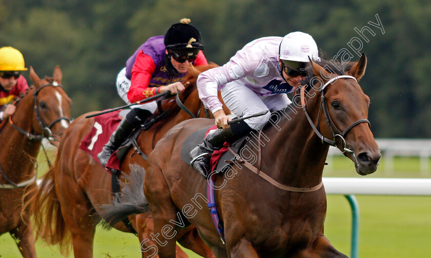 Pleasant-Man-0005 
 PLEASANT MAN (Jason Watson) wins The Betfair Free Bet Streak EBF Novice Stakes
Haydock 3 Sep 2020 - Pic Steven Cargill / Racingfotos.com