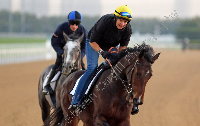 Channagide-0001 
 CHANNAGIDE training at the Dubai Racing Carnival
Meydan 22 Jan 2025 - Pic Steven Cargill / Racingfotos.com