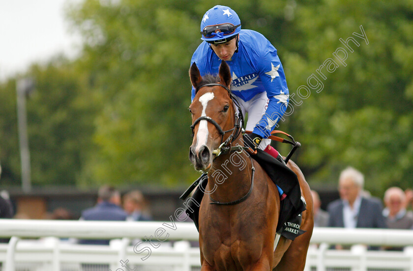 Tardis-0002 
 TARDIS (Oisin Murphy)
Salisbury 2 Sep 2021 - Pic Steven Cargill / Racingfotos.com