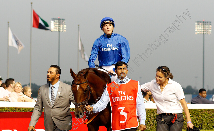 Blair-House-0008 
 BLAIR HOUSE (James Doyle) after The Jebel Hatta Meydan Dubai 10 Mar 2018 - Pic Steven Cargill / Racingfotos.com